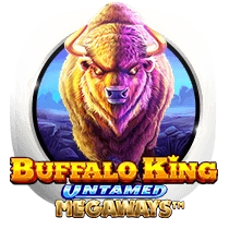 buffaloking